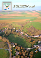 Bulletin 2018_1